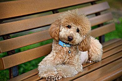 《La Quimera》使用虚幻引擎4制作 不支持实时光追